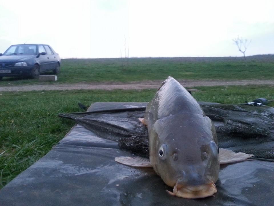 Moara Vlasiei 2 28 - 29 mar. - 197740214904900545058981790684298n.jpg